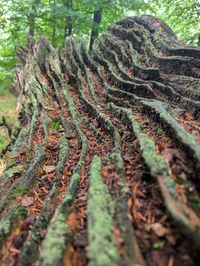 PXL_20250720_115317315