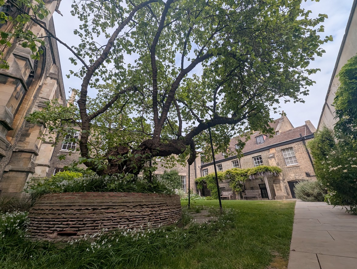 PXL_20260515_081233143