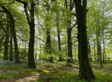 w1