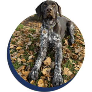 Bosun-Blue Bosun-Blue